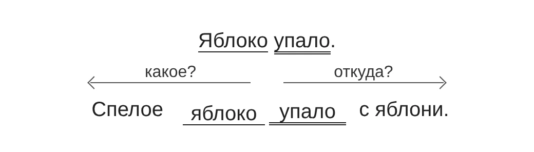 Схема распространённого предложения «Спелое яблоко упало с яблони»
