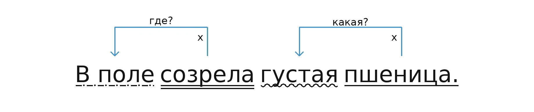 Схема: пшеница (какая?) густая; созрела (где?) в поле
