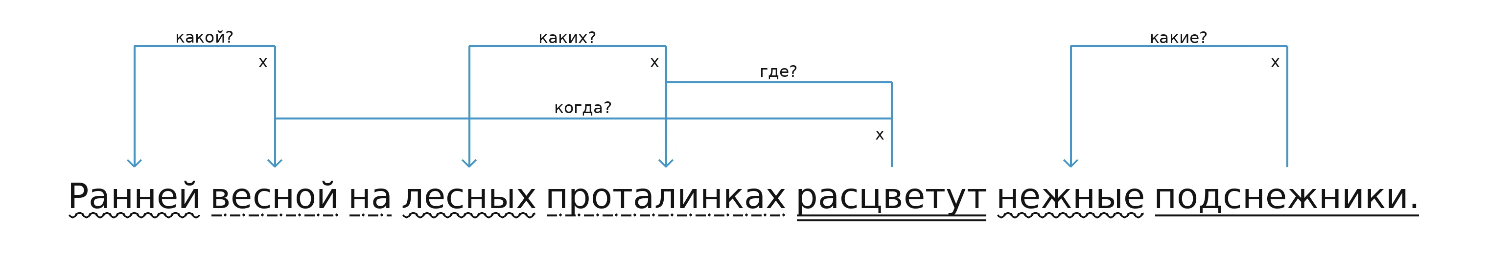 Схема: подснежники (какие?) нежные; расцветут (где?) на проталинках; расцветут (когда?) весной; проталинках (каких?) лесных; весной (какой?) ранней