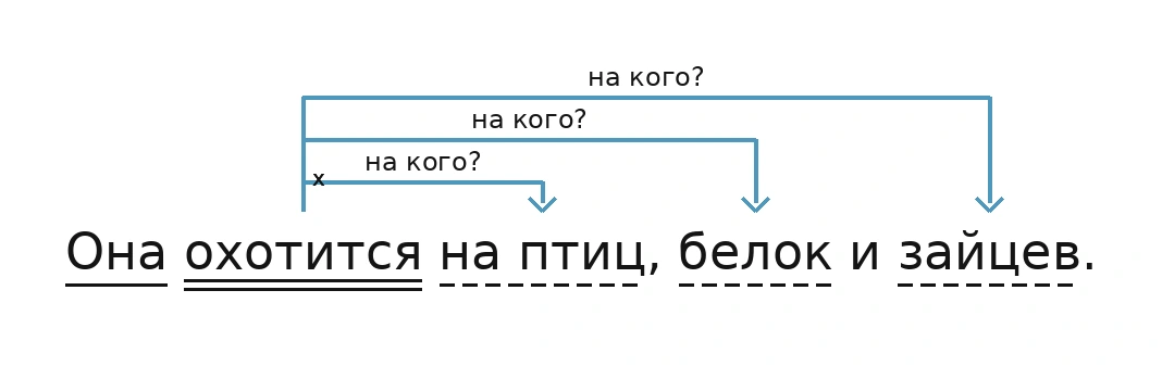 Схема связей слов в предложении «Она охотится на птиц, белок и зайцев.»: охотится - на кого? - на птиц; охотится - на кого? - белок; охотится - на кого? - зайцев