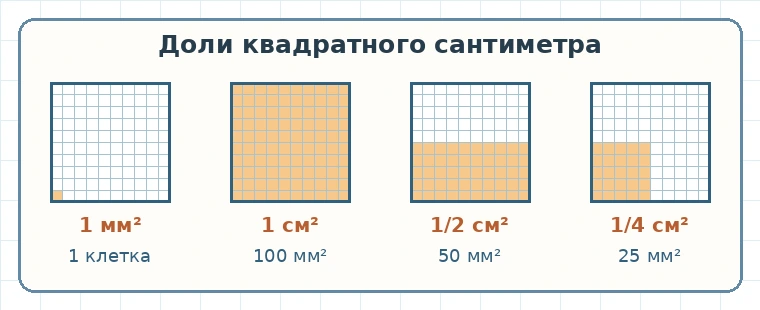 Одна клетка, целый квадратный сантиметр, его половина и четверть