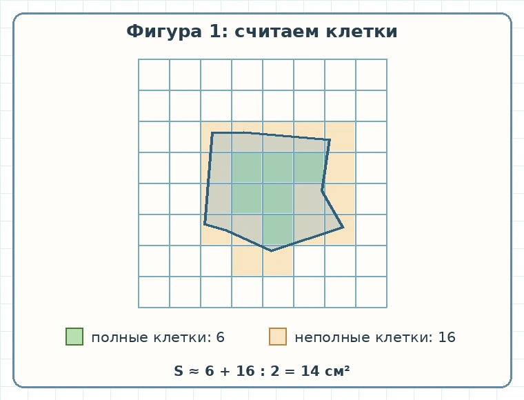 Подсчёт полных и неполных клеток первой фигуры