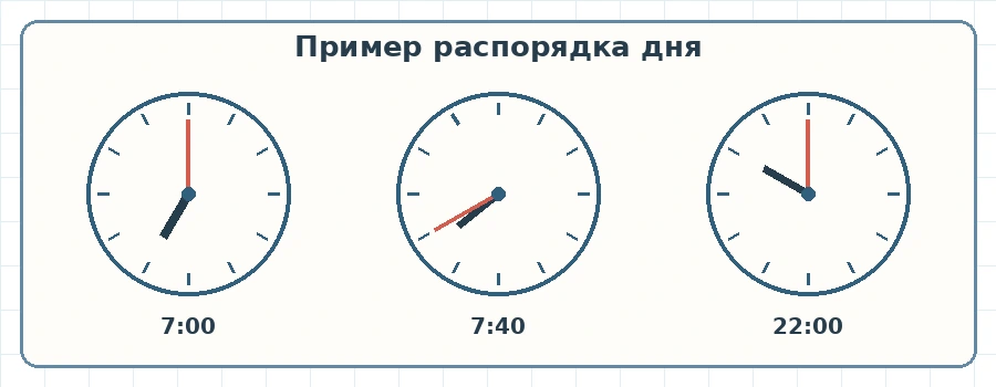 Три циферблата показывают 7 часов, 7 часов 40 минут и 22 часа