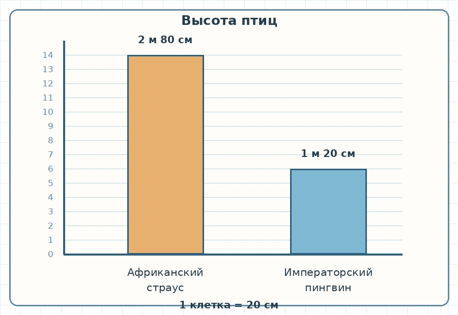 Диаграмма высоты африканского страуса 14 клеток и императорского пингвина 6 клеток при масштабе 20 сантиметров в клетке