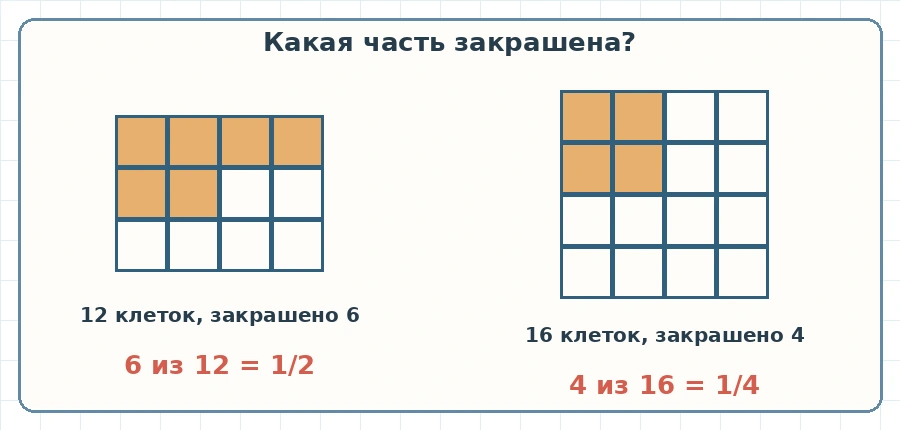 Первая фигура: 6 из 12 клеток равны одной второй; вторая: 4 из 16 равны одной четвёртой