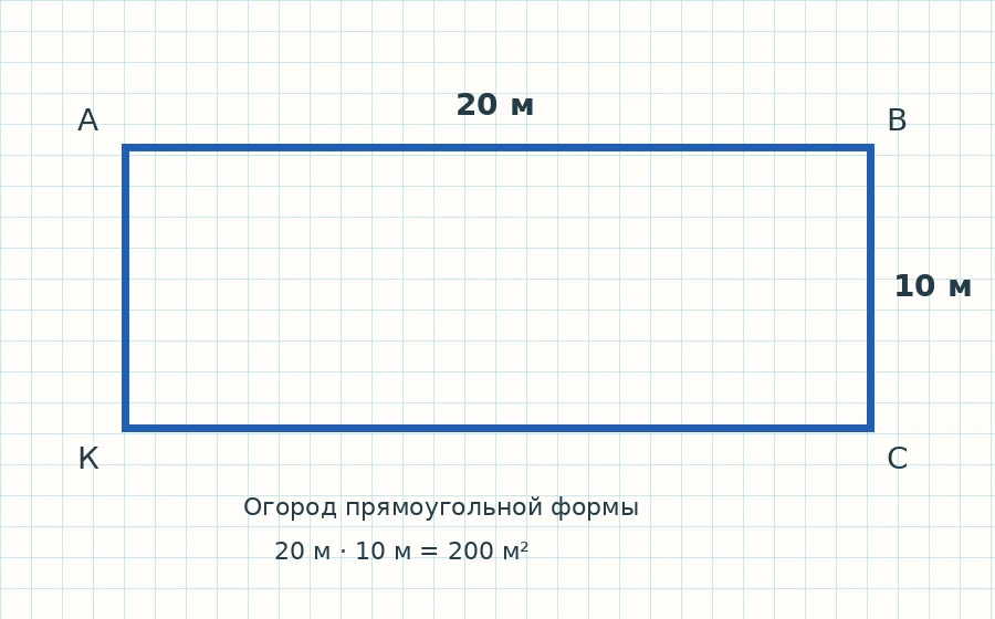 Прямоугольный огород длиной 20 м и шириной 10 м