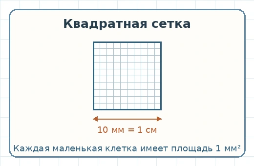 Квадратная сетка из 100 клеток площадью по 1 квадратному миллиметру