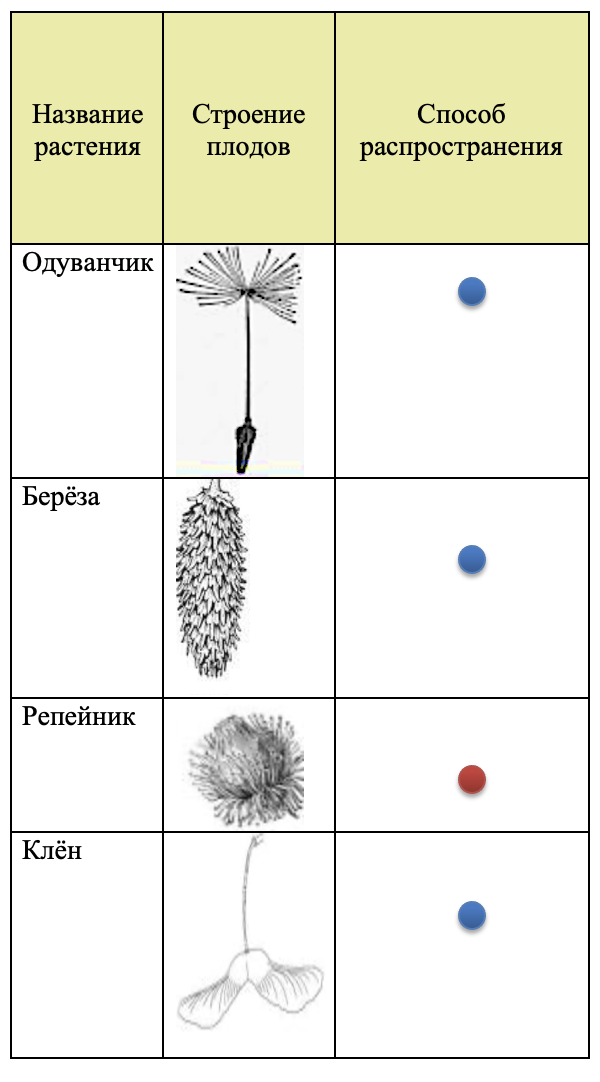 Задание 2 на странице 37: строение плодов и способы их распространения
