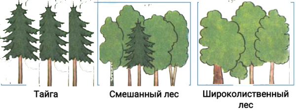 Задание 6 на странице 43