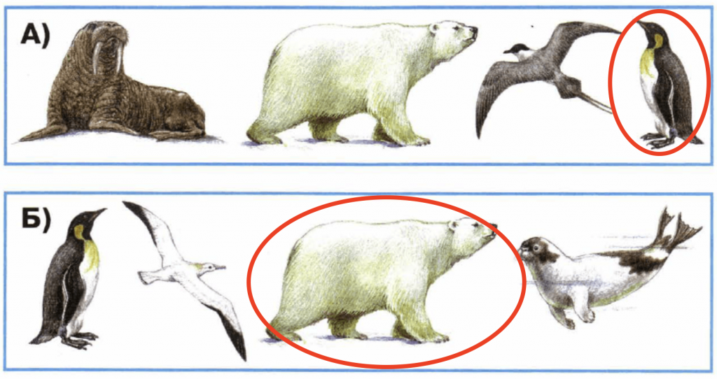 А) лишнее - пингвин, Б) лишнее - белый медведь.