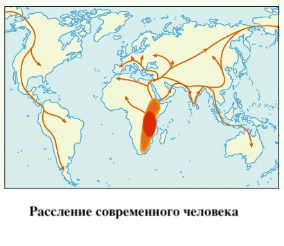 Расселение современного человека, вопрос 1 и 2
